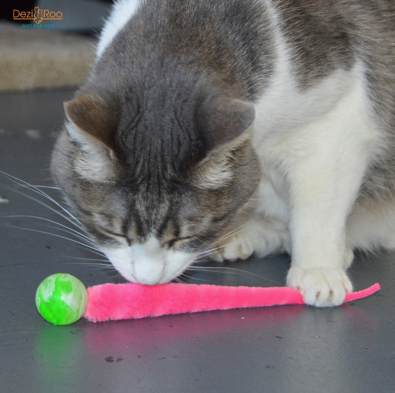 Wiggly Ball Toy