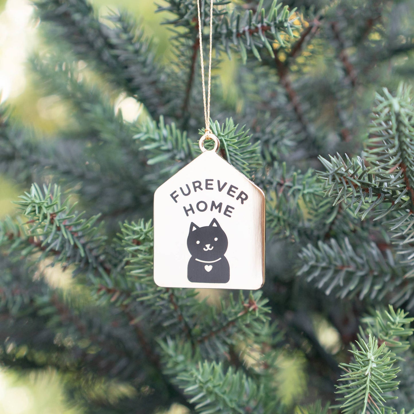 Furever Home Ornament (Black Cat)