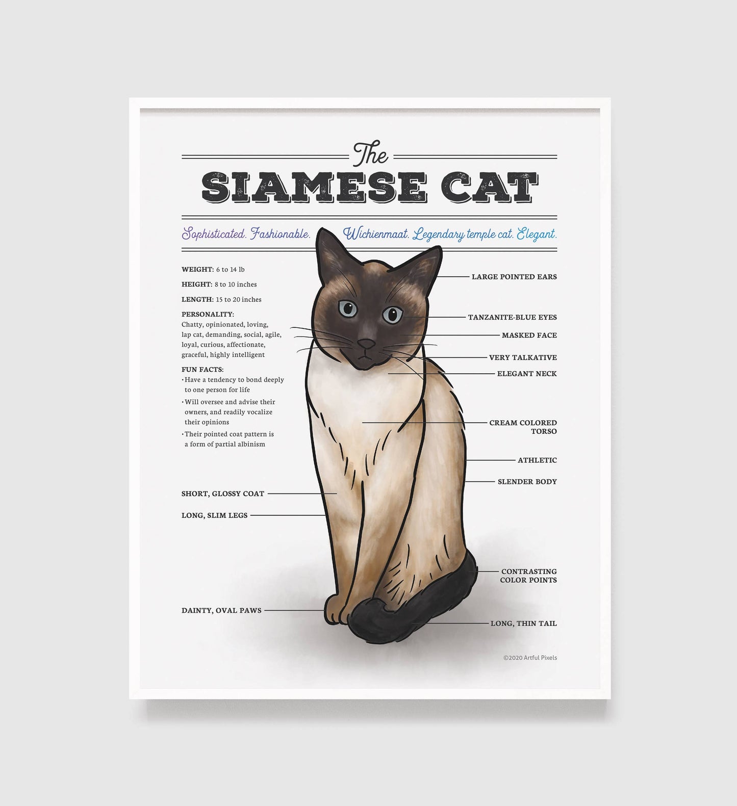 Siamese Cat Diagram Art Print: 8x10"