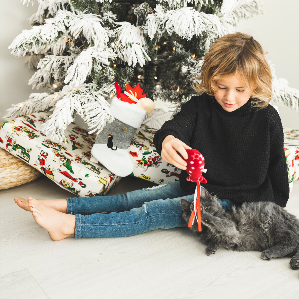 Christmas Stocking for Cats - 3 Holiday Cat Toys