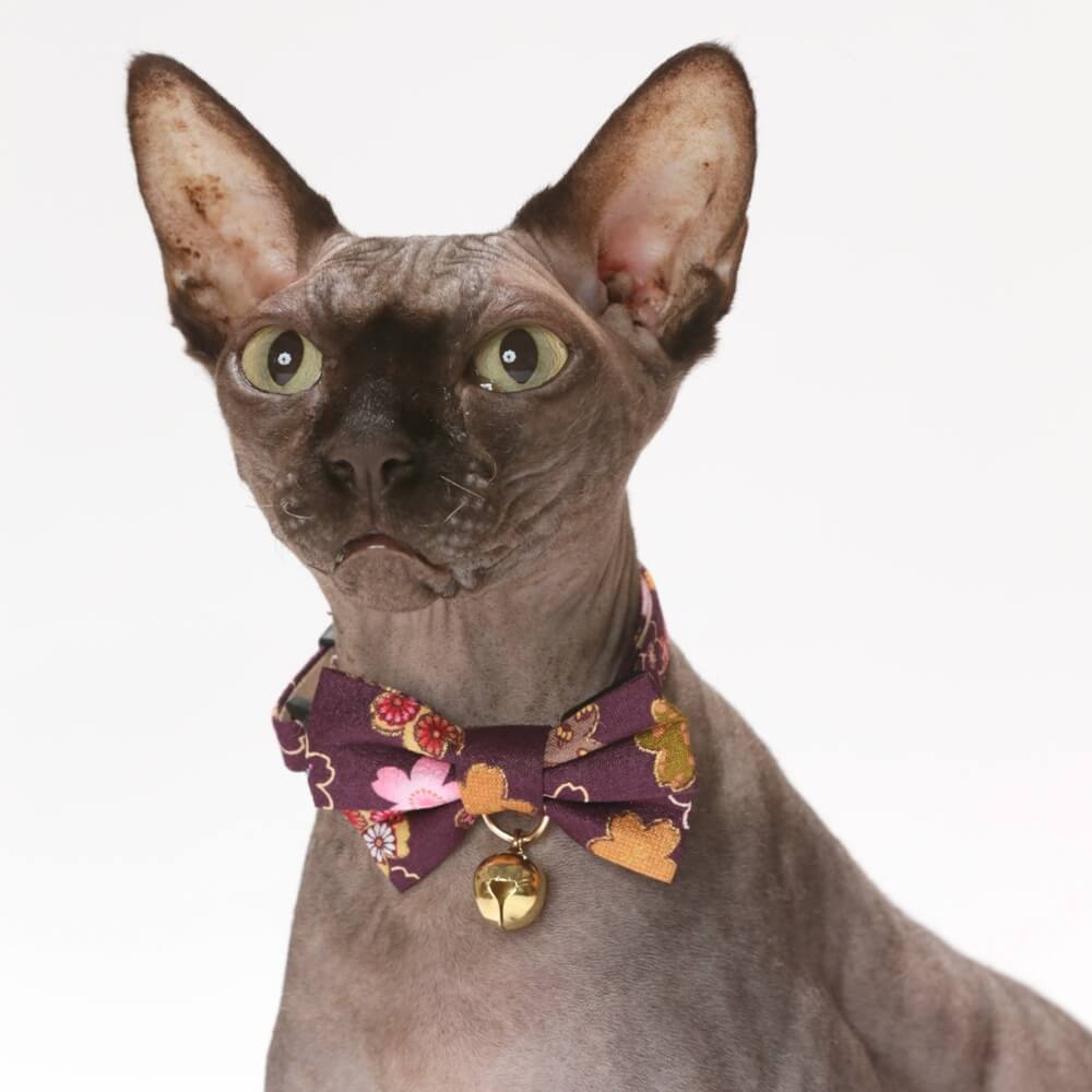 Kimono Bow Tie Cat Collar - Purple