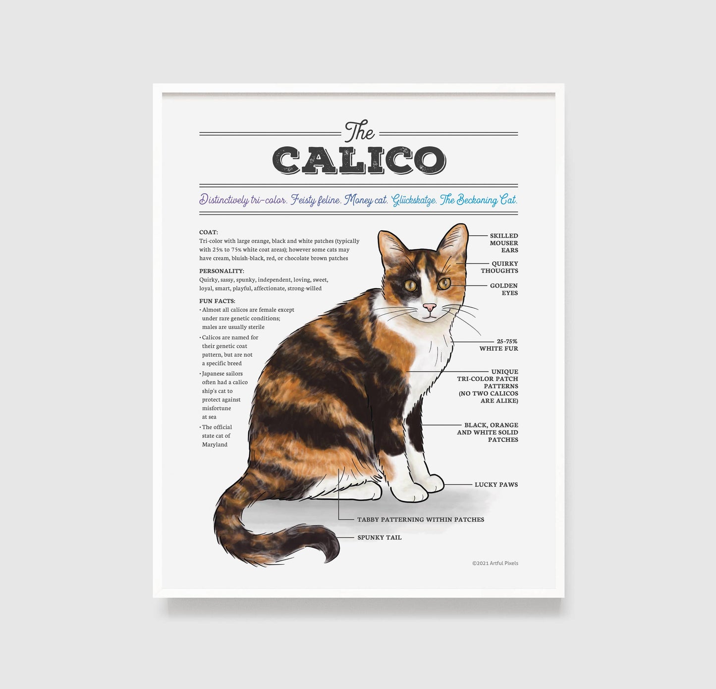 Calico Cat Diagram Art Print