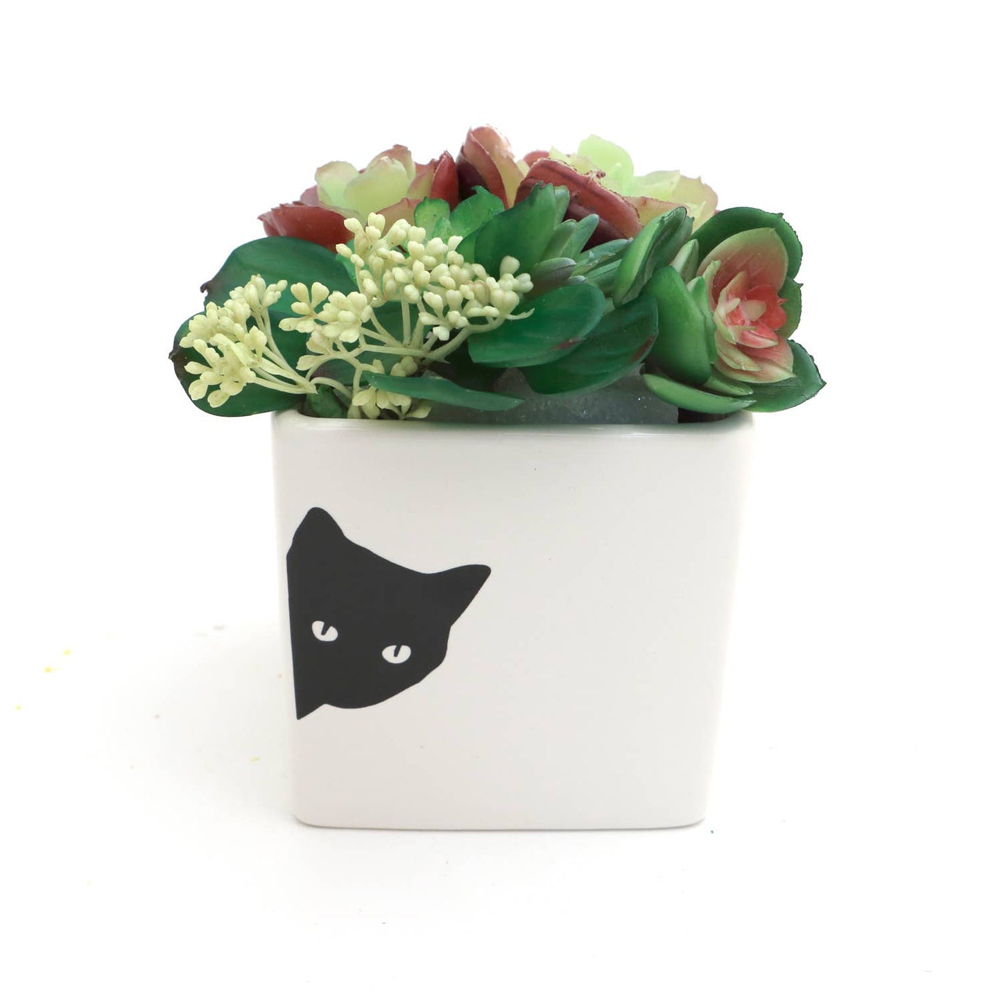 Black Cat Planter