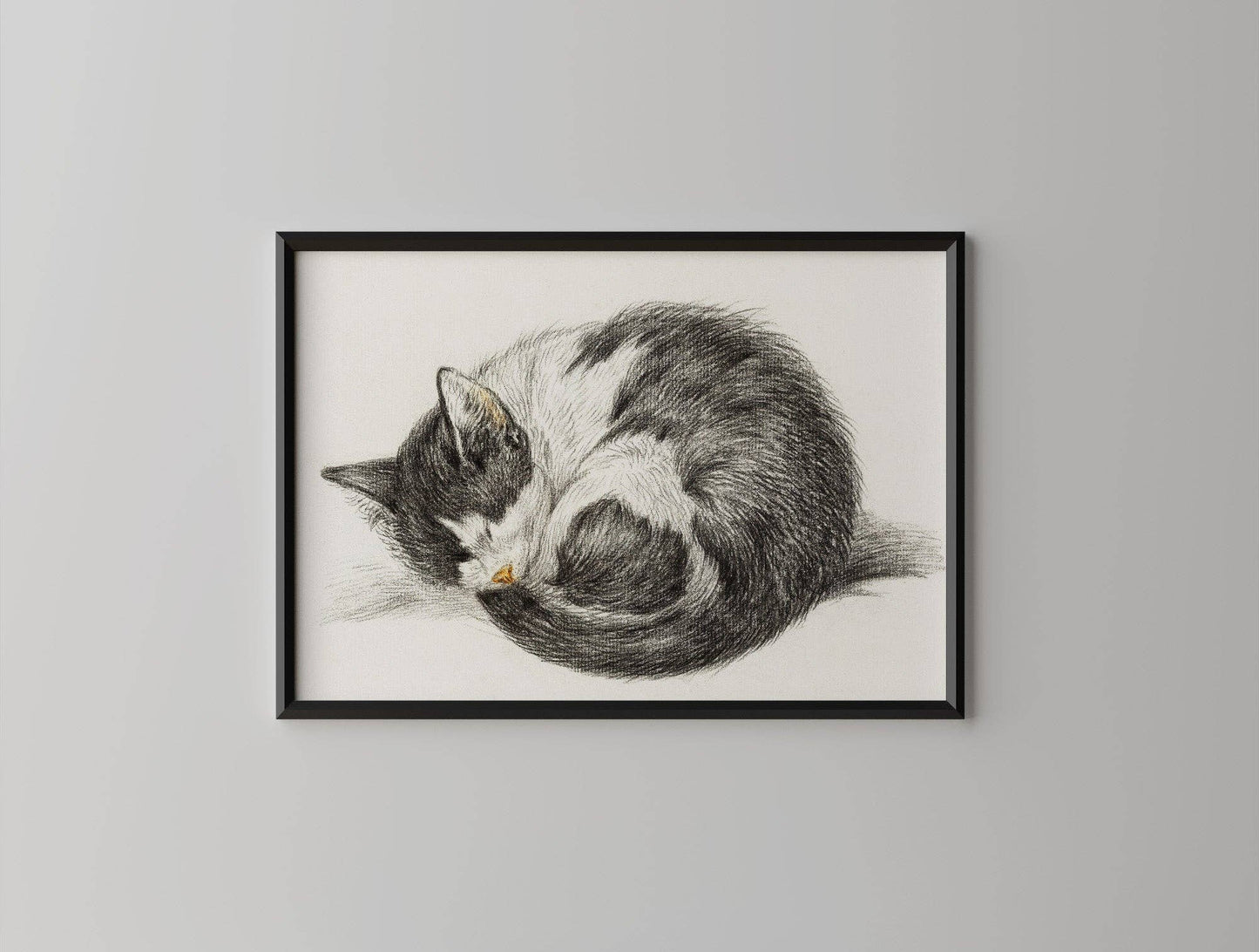 Sleeping Kitten - Vintage Art Print