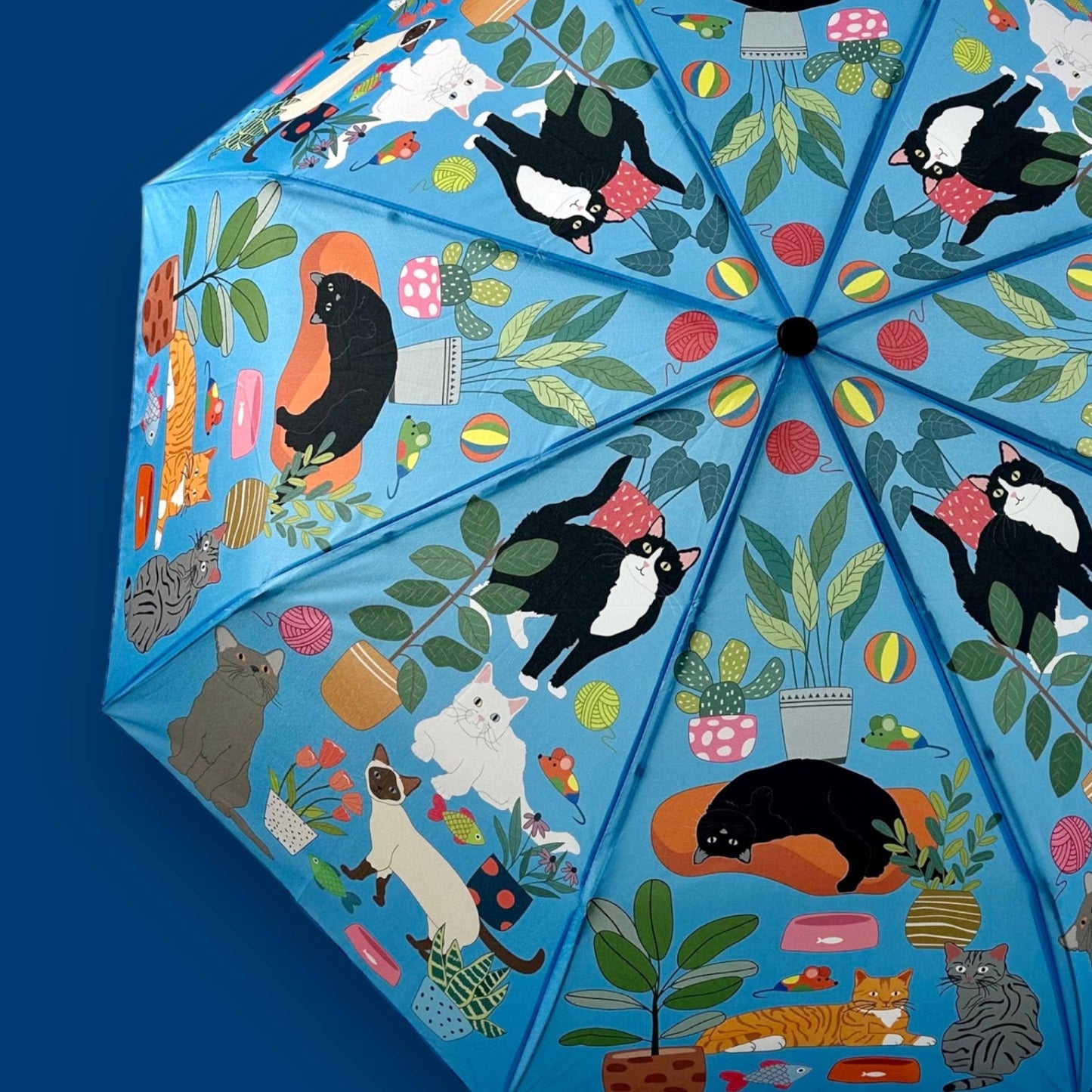 Umbrella - At Home with Cats
