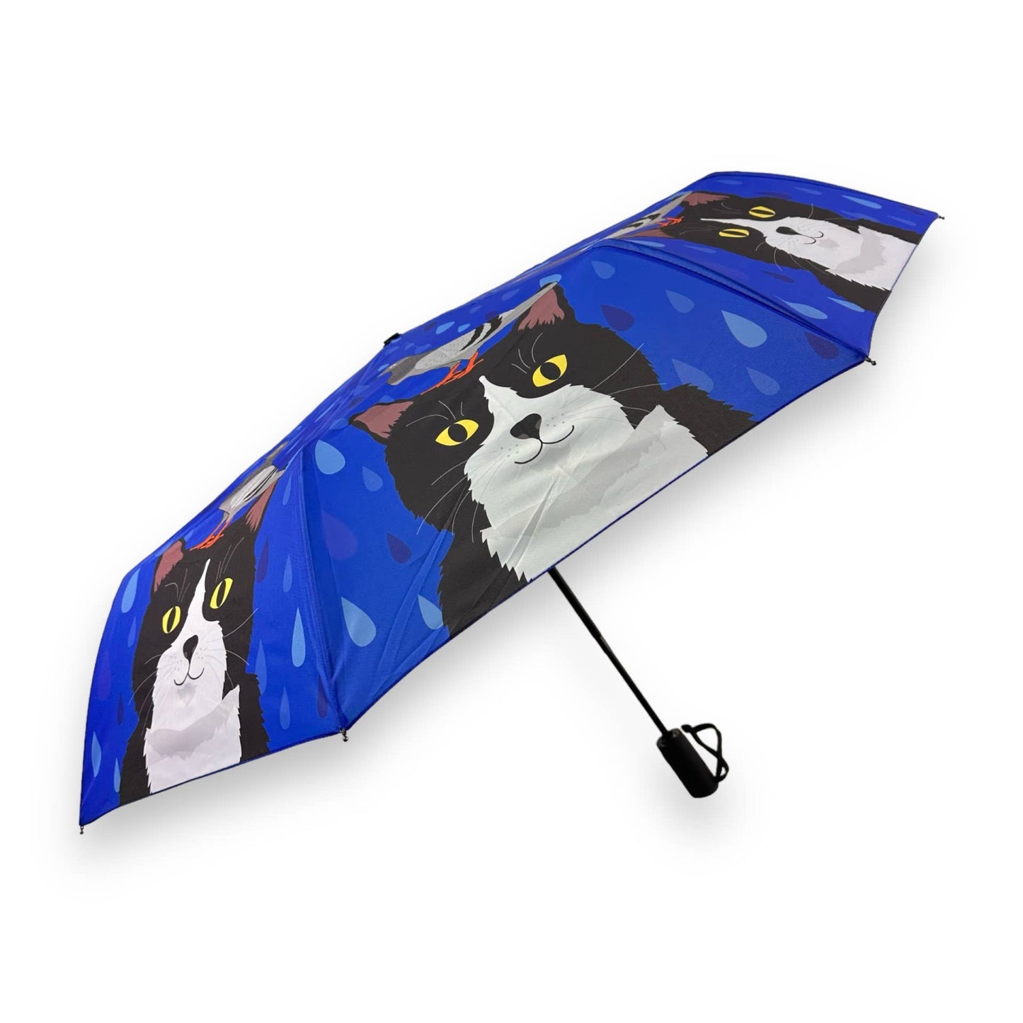 Umbrella - Pigeon and Tuxedo Cat