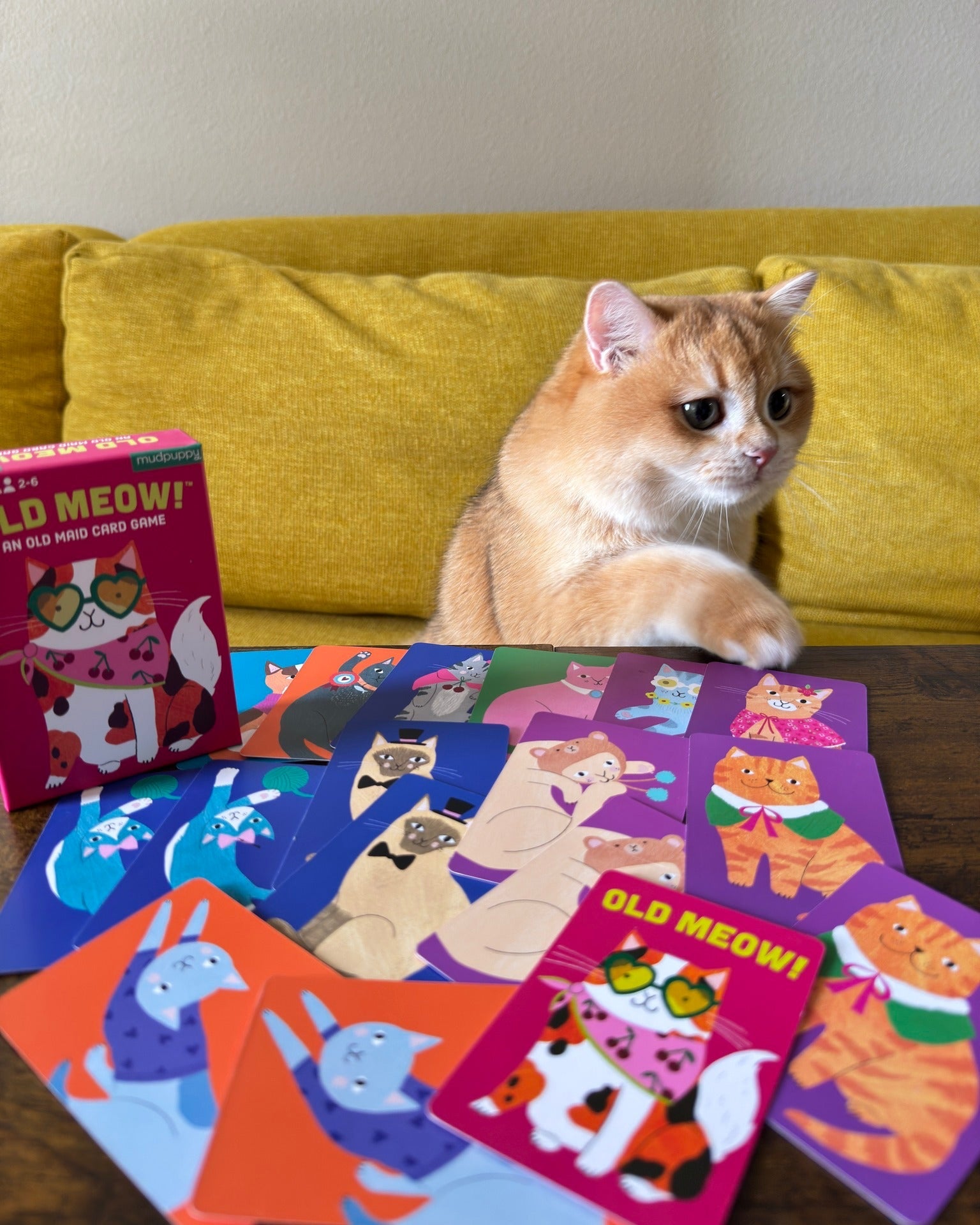 Paw Puzzles & Games