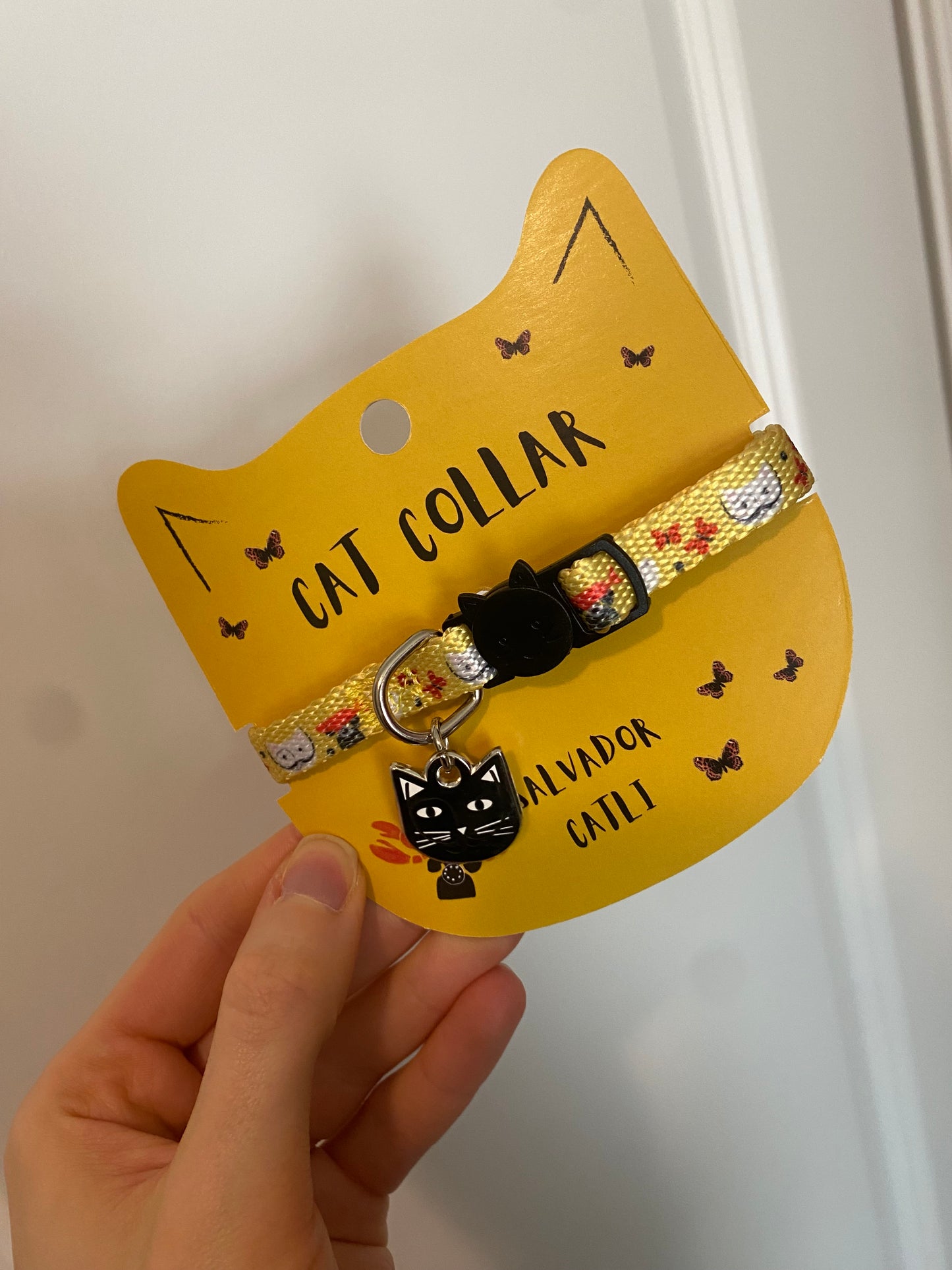 Artist Cat Collar - Salvador Catli