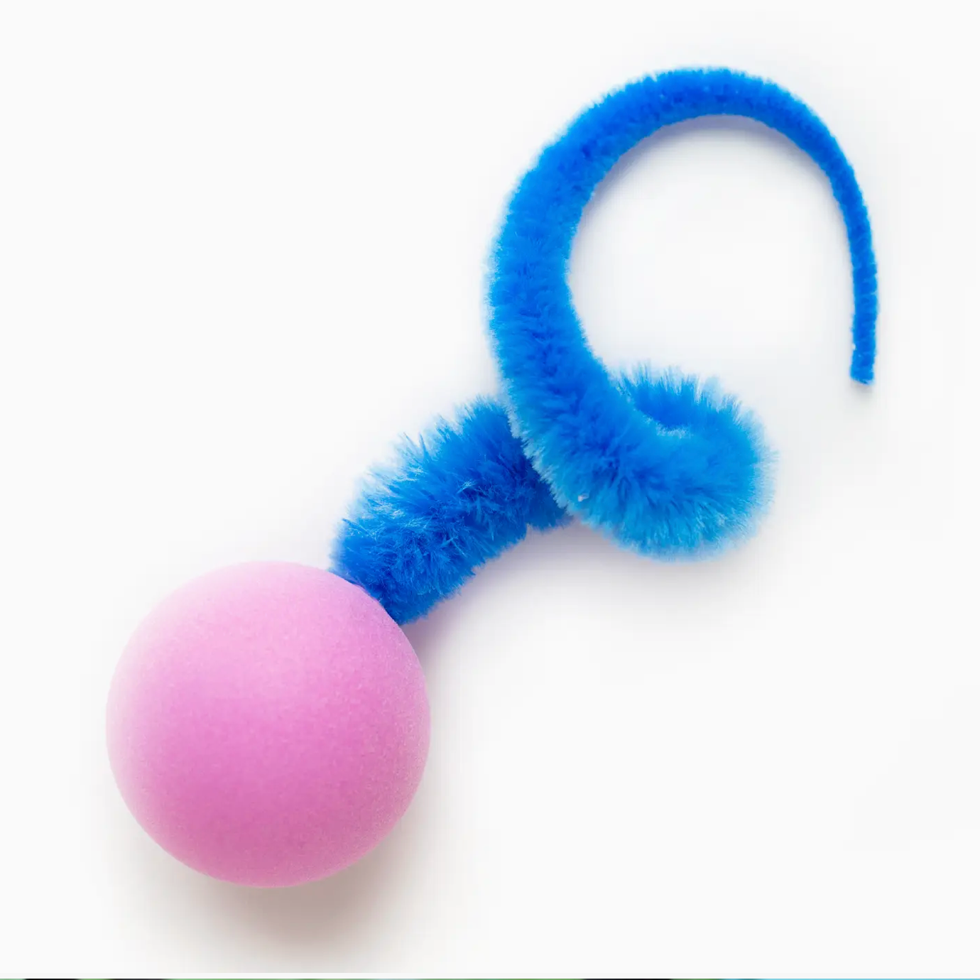 Wiggly Ball Toy