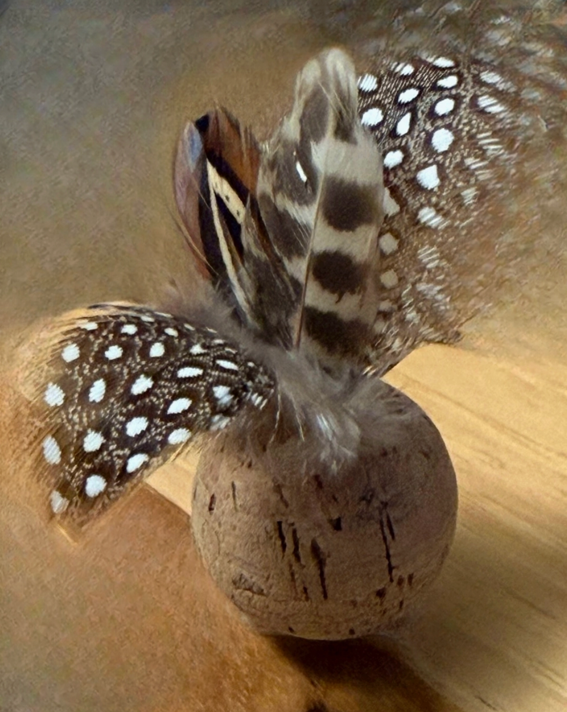 Cork ball toy