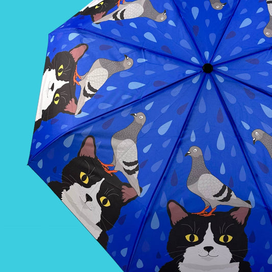Umbrella - Pigeon and Tuxedo Cat
