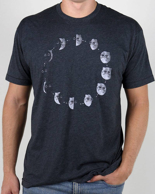 cat phases | uni