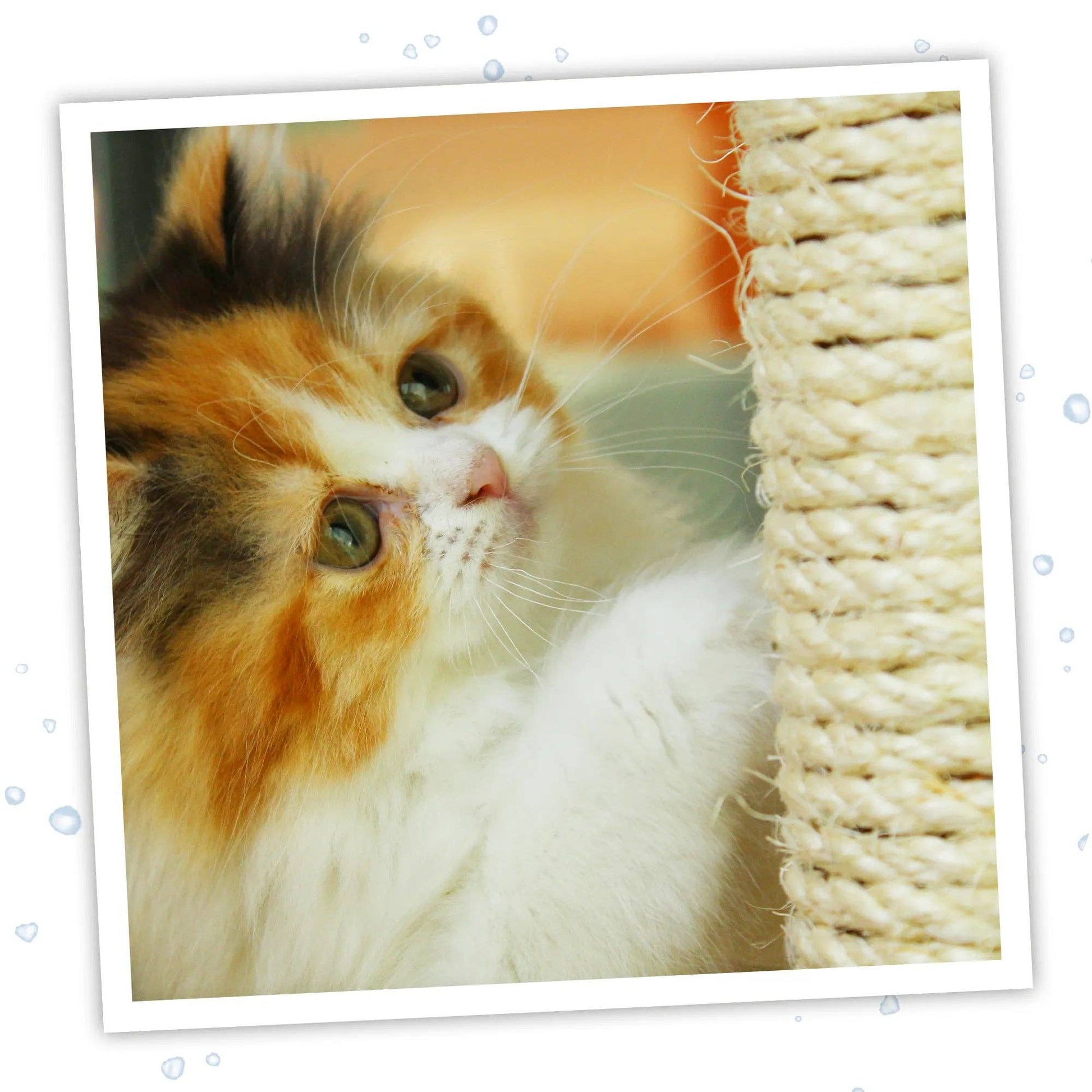 Meowijuana® Catnip & Silvervine Spray - 3 oz.