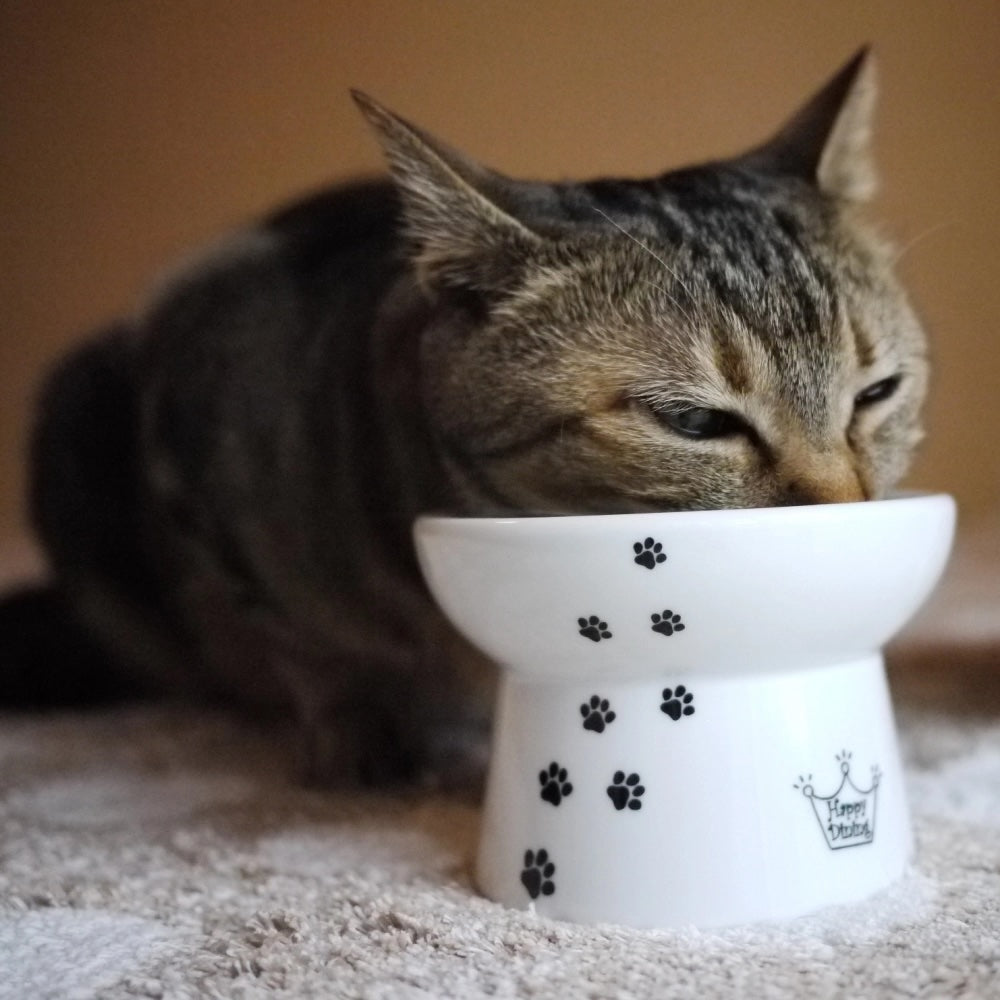 Raised Cat Food Bowl - Paw