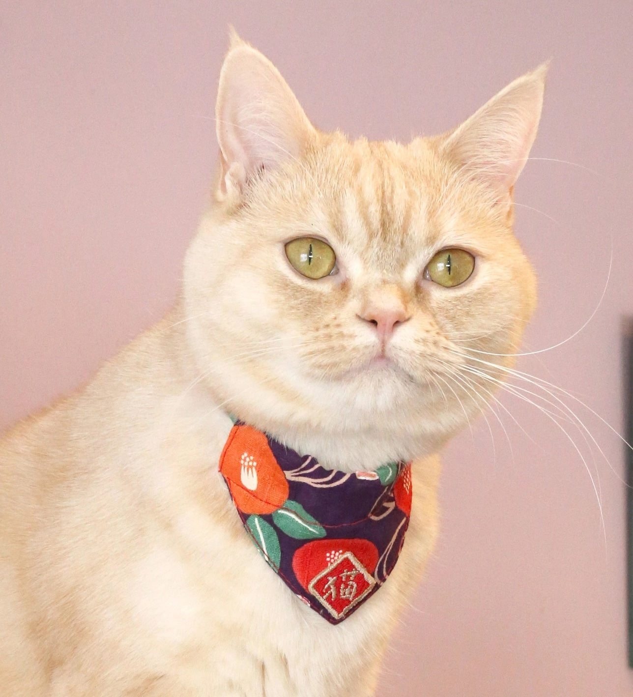Kimono Cat Bandana Collar - Purple