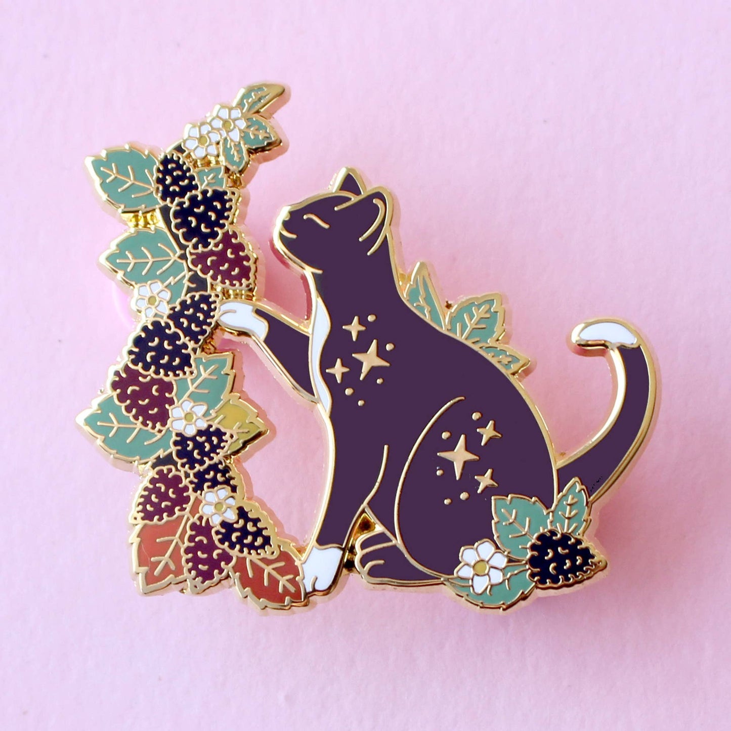 Fall Blackberry cat