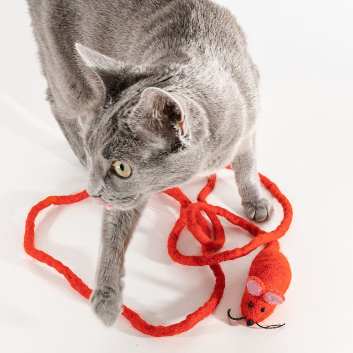 Wool Mouse Cat Toy With 6-Foot-Long Tail
