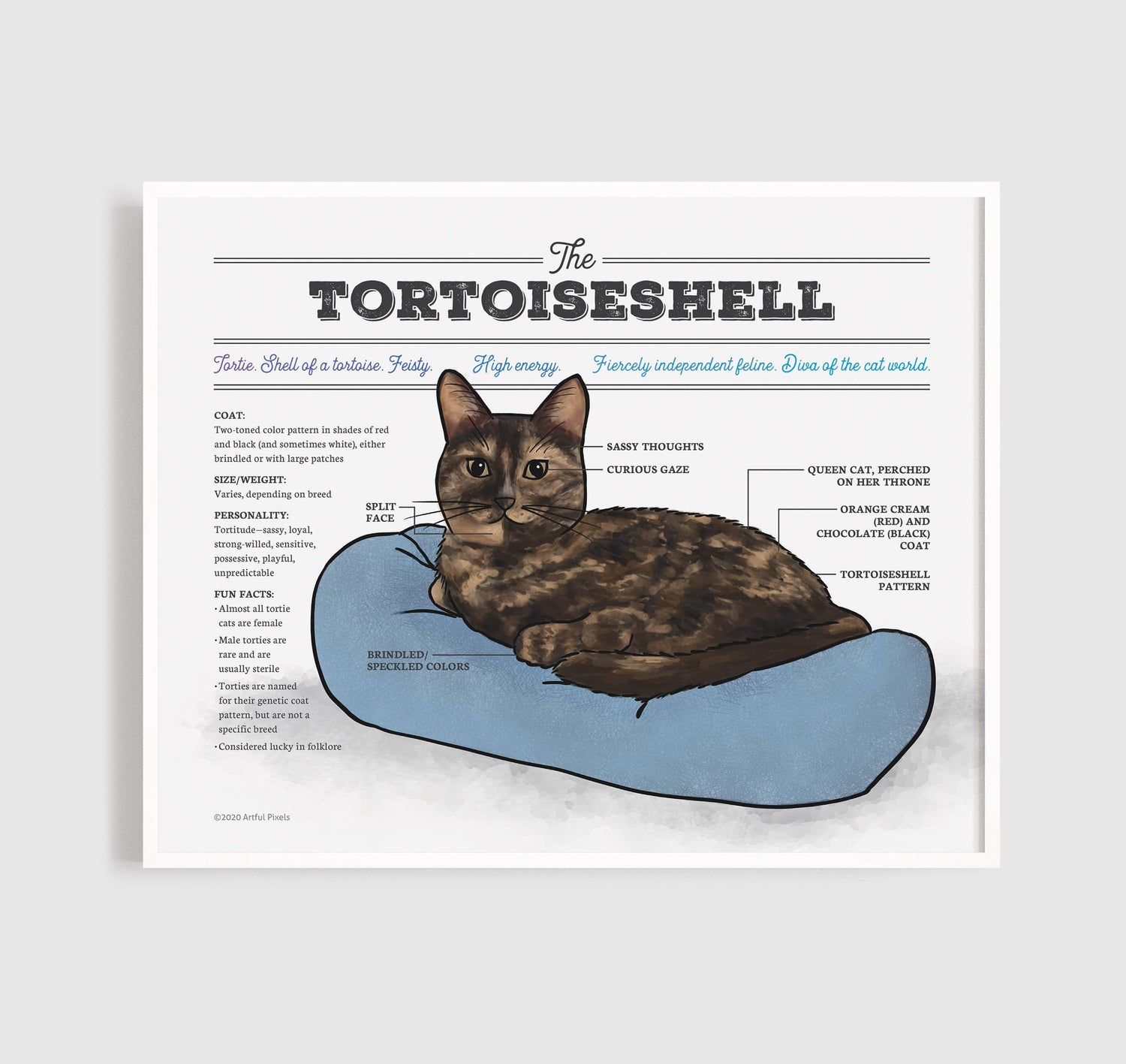 Tortoiseshell Cat Diagram Art Print