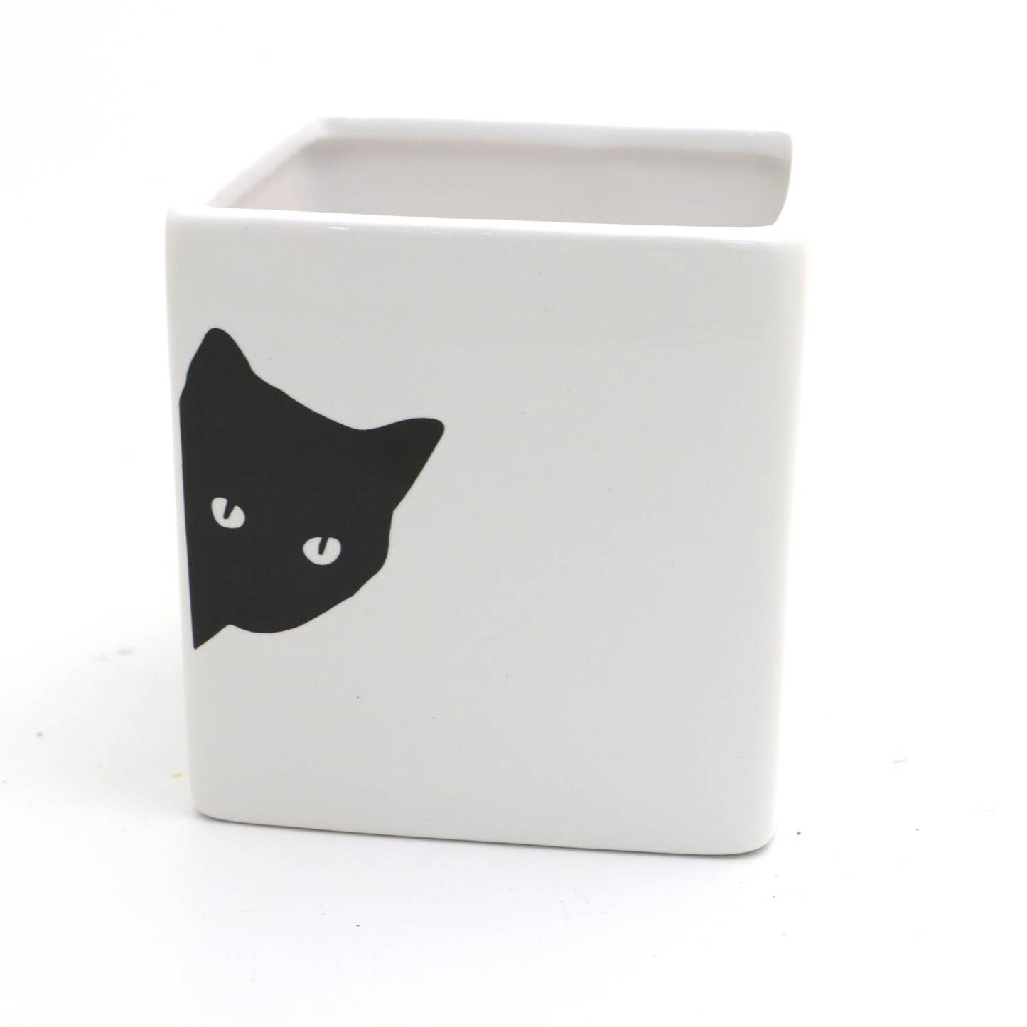 Black Cat Planter