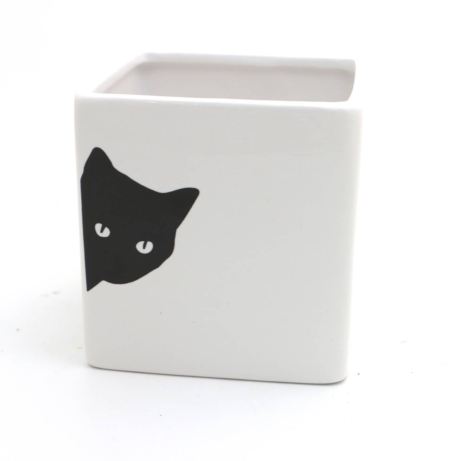 Black Cat Planter