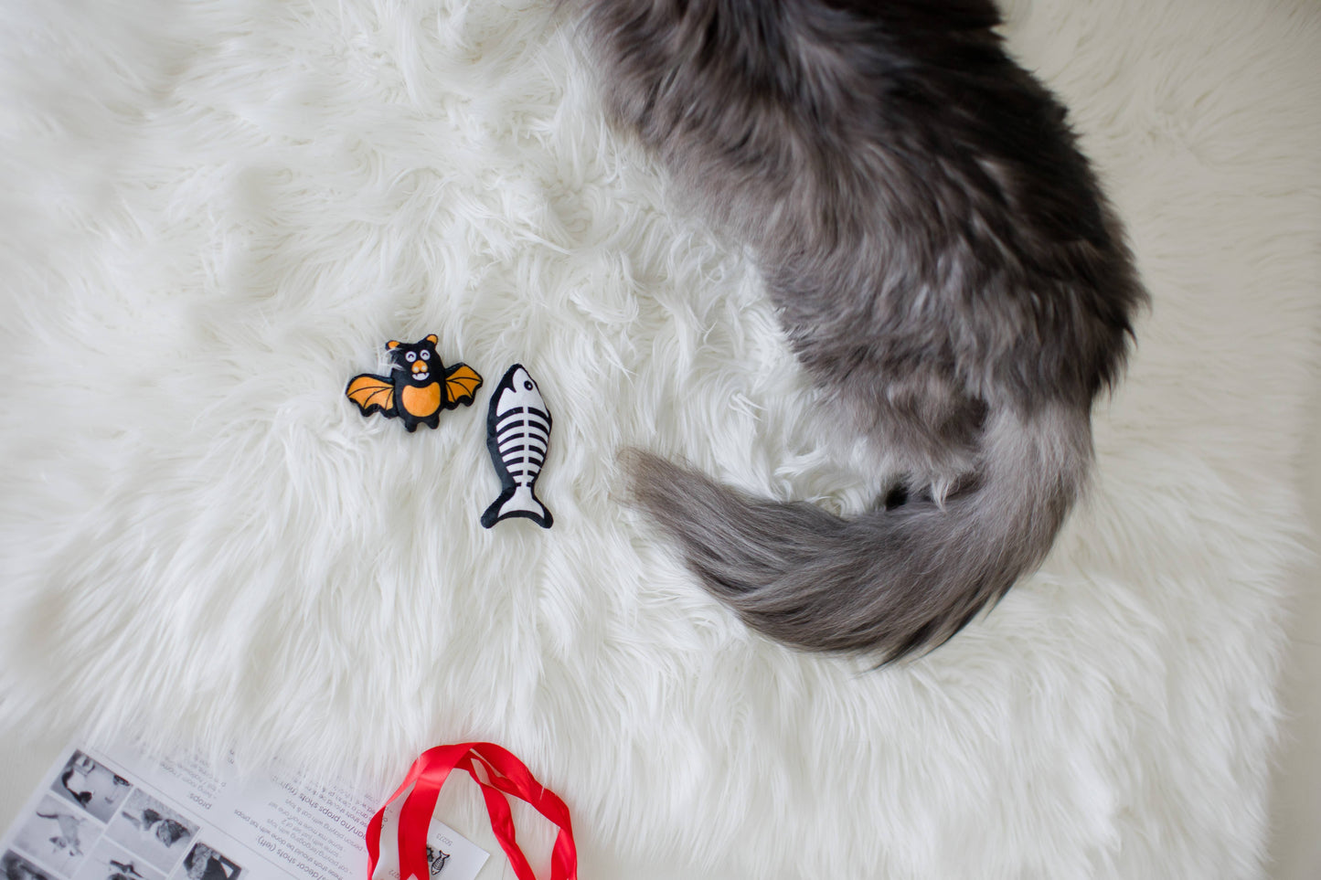 Bat & Fish Skeleton Halloween Cat Toys, Set of 2