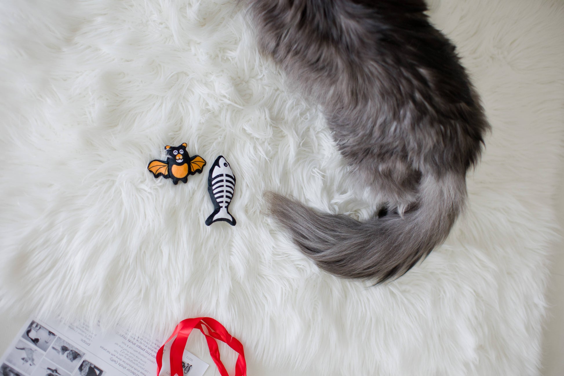 Bat & Fish Skeleton Halloween Cat Toys, Set of 2