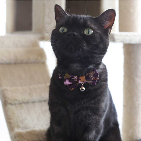 Kimono Bow Tie Cat Collar - Purple