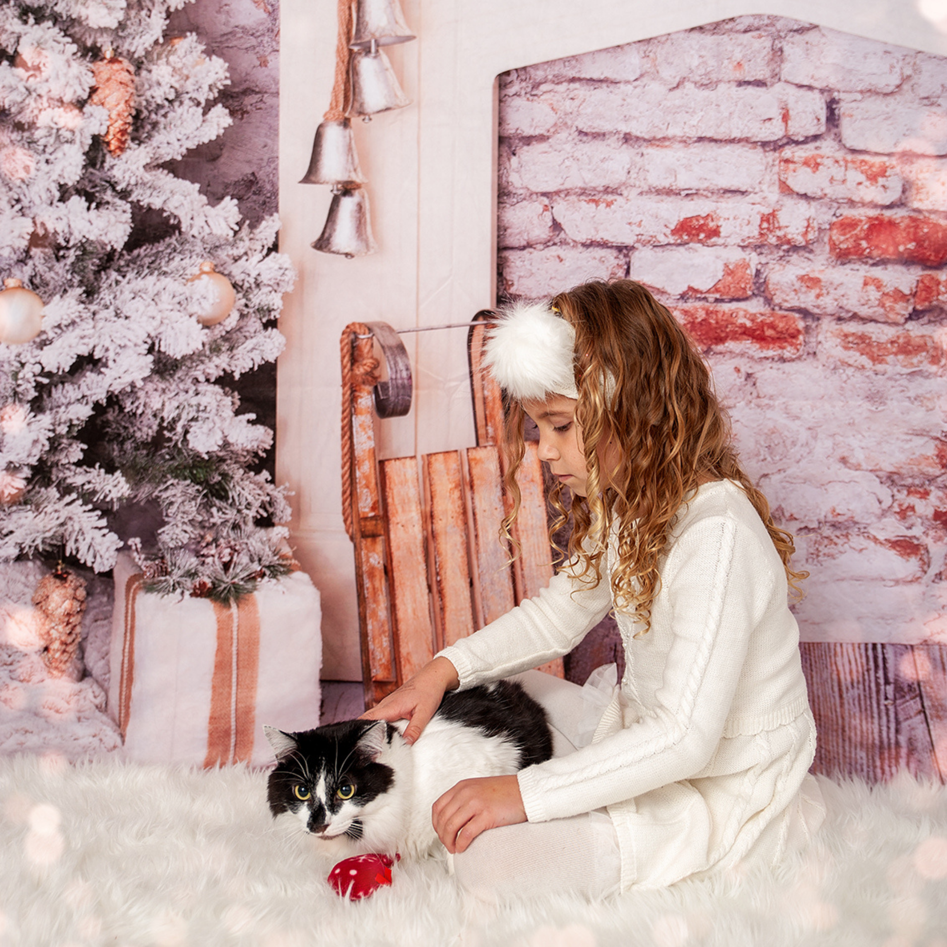 Christmas Stocking for Cats - 3 Holiday Cat Toys