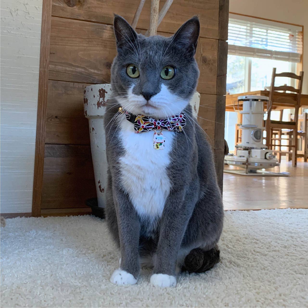 Lucky Cat Charm Bow Tie Cat Collar