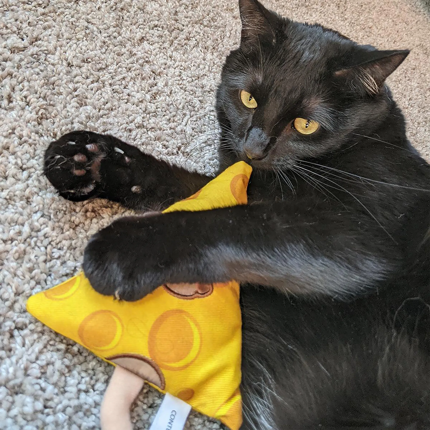 Meowijuana® Get Cheezy Cheese & Mouse Refillable Cat Toy