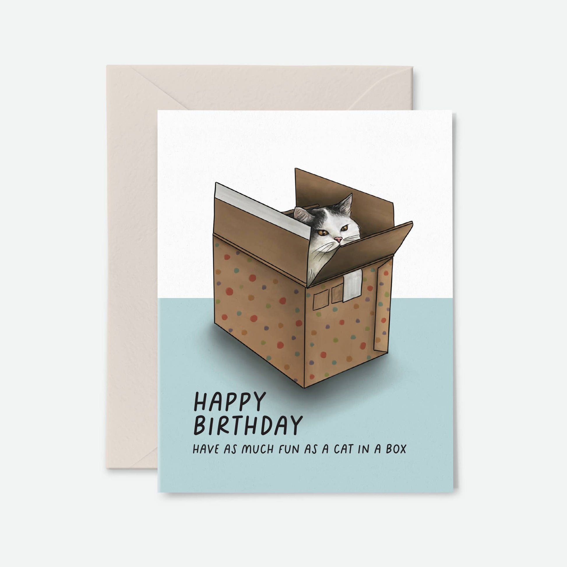 Cat in a Box Birthday Card | Funny Greeting Card