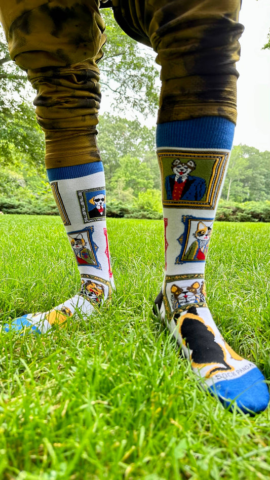 Wall Art Museum Dogs and Cats Socks