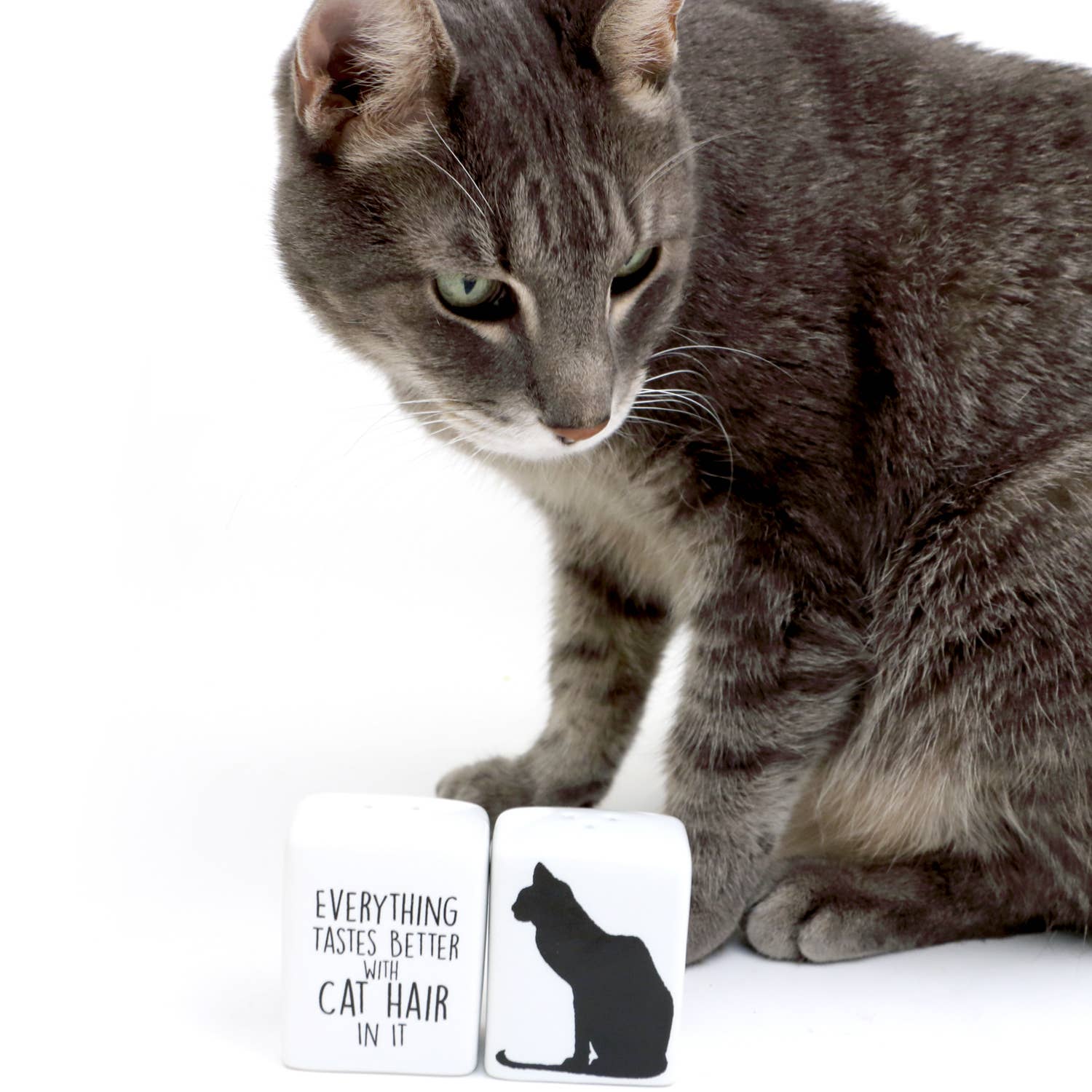 Cat Hair Salt and Pepper Set