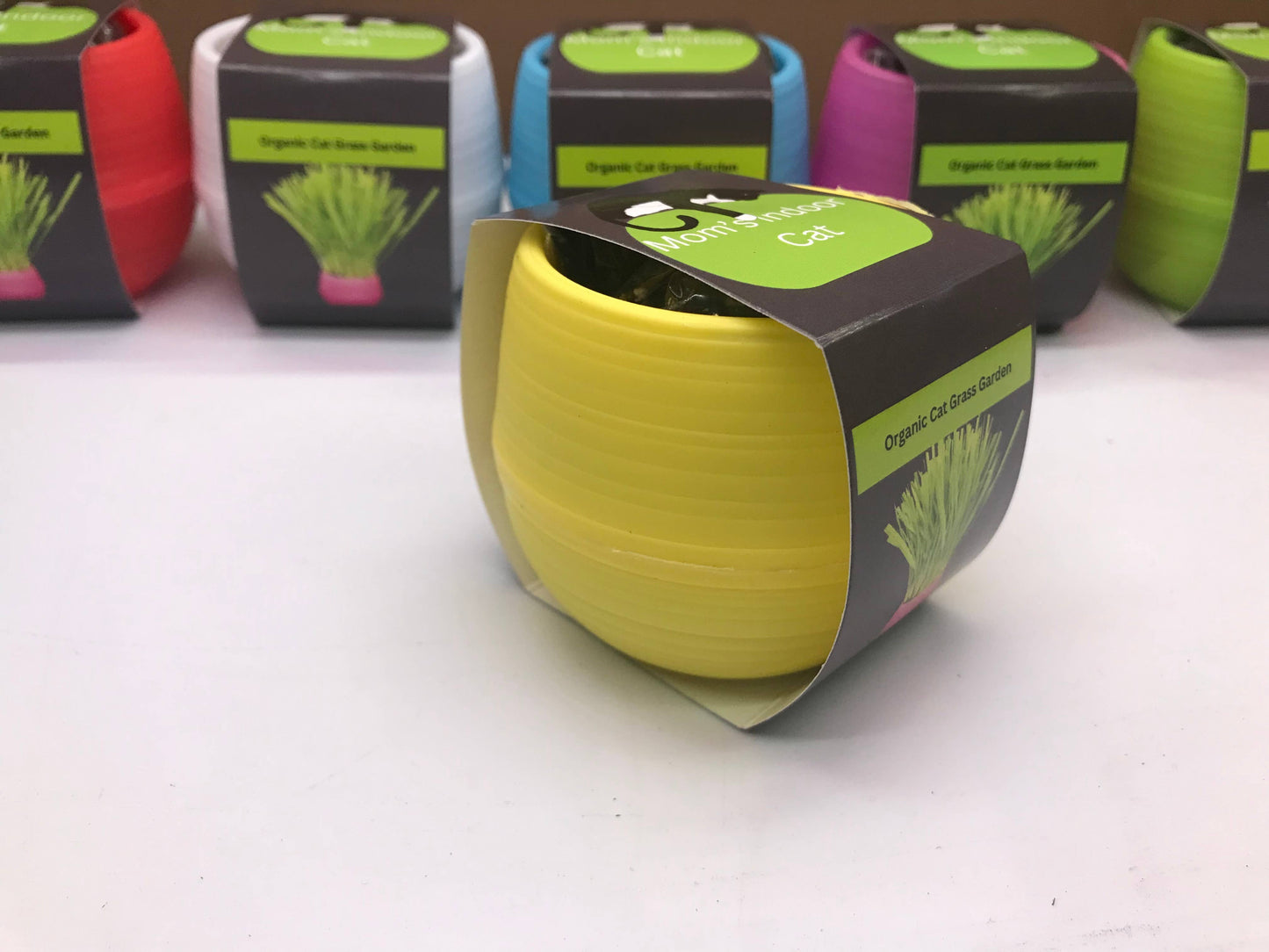 Cat Grass Garden Ball