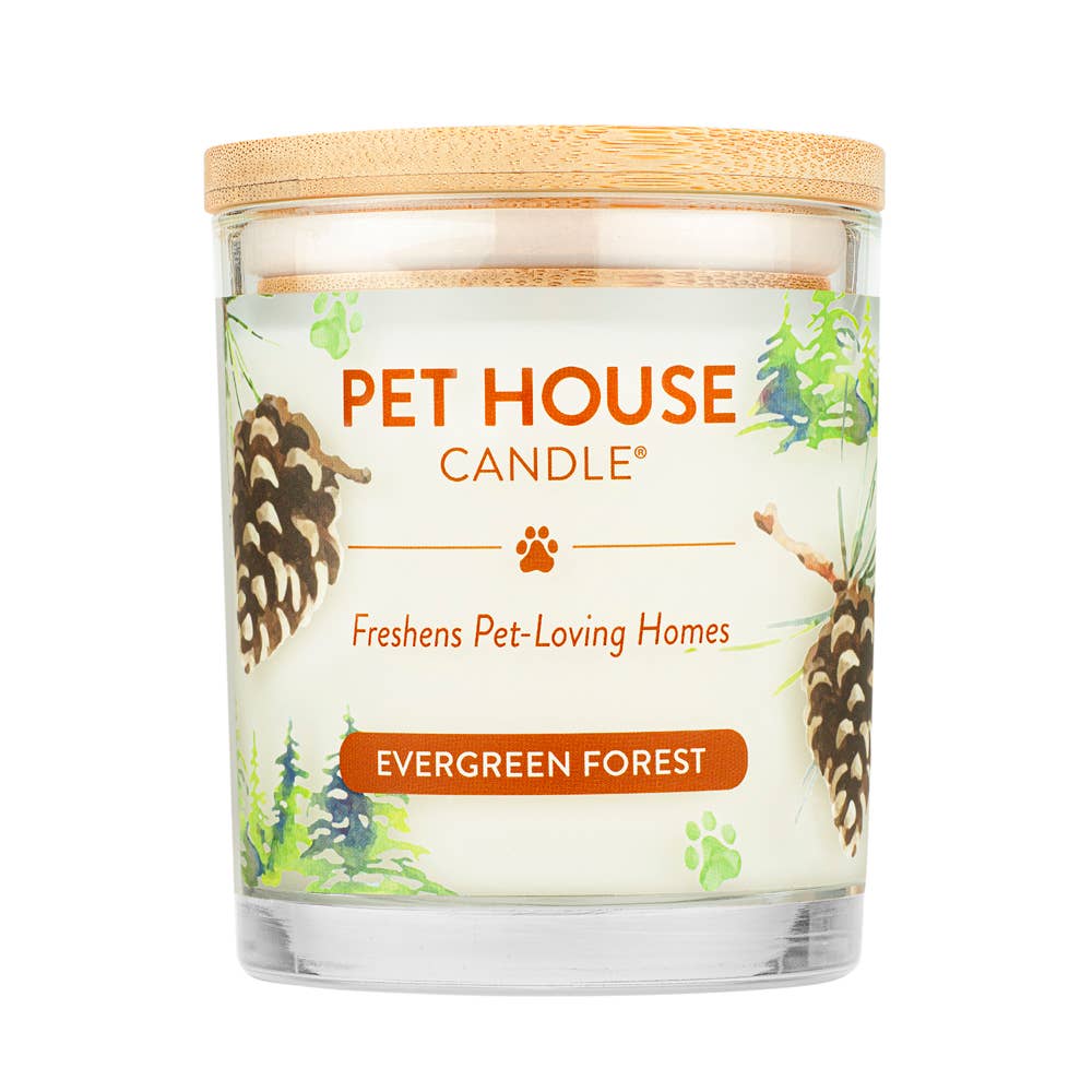 Evergreen Forest 9 oz Candle