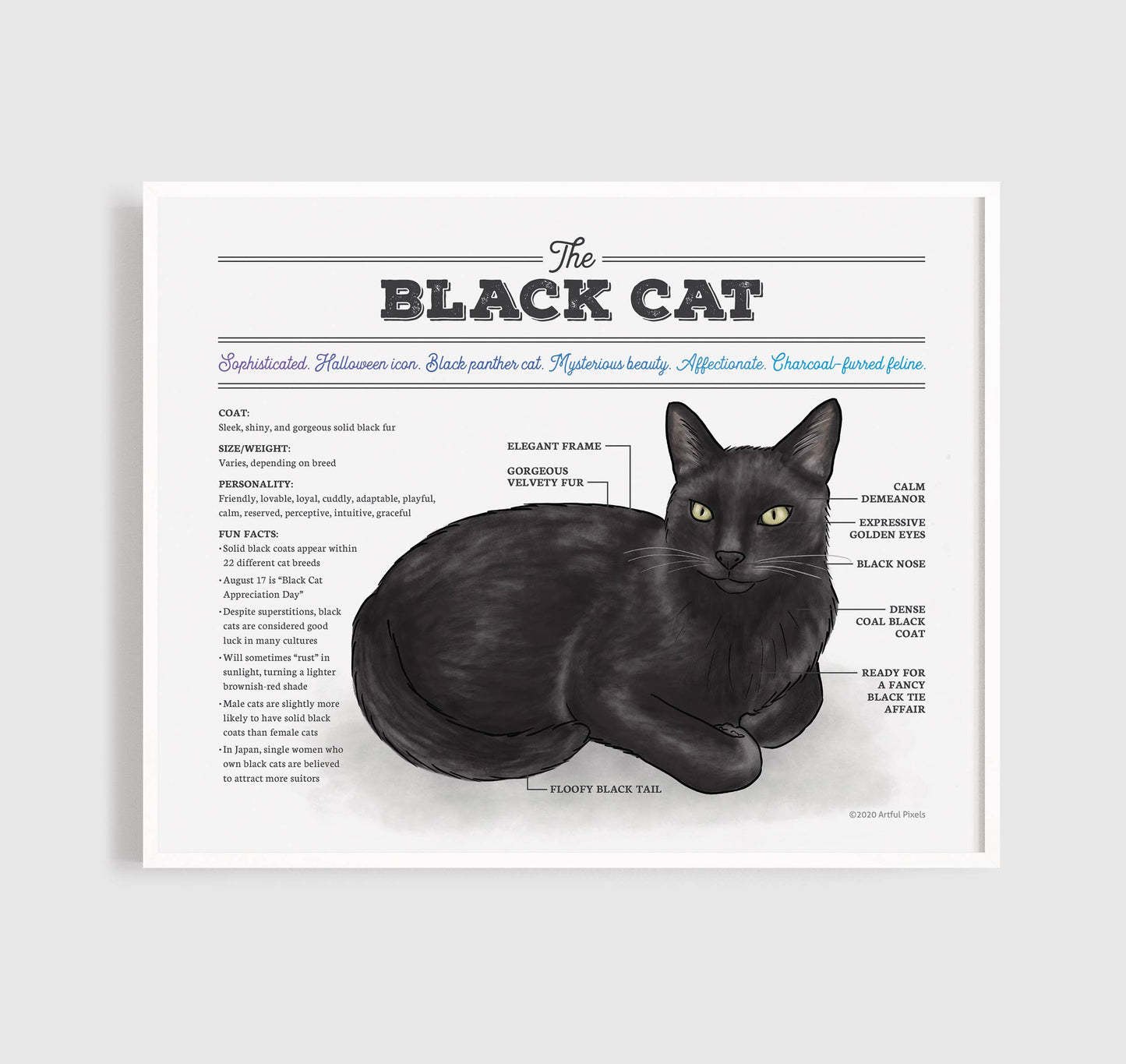 Black Cat Art Print | Cat Diagram Wall Art: 8x10"