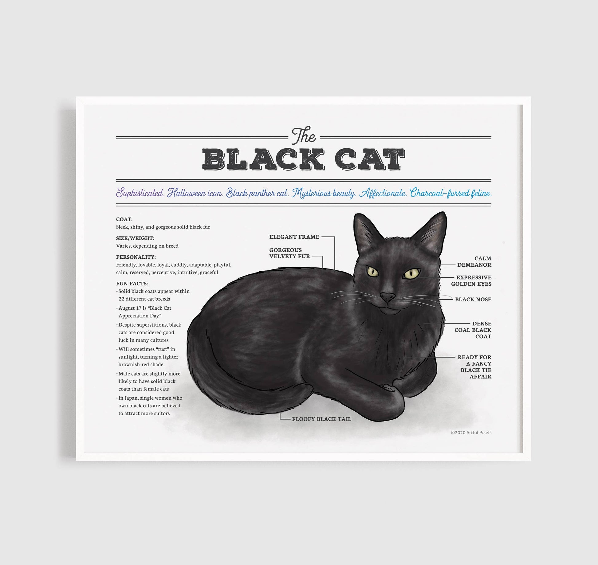Black Cat Art Print | Cat Diagram Wall Art: 8x10"