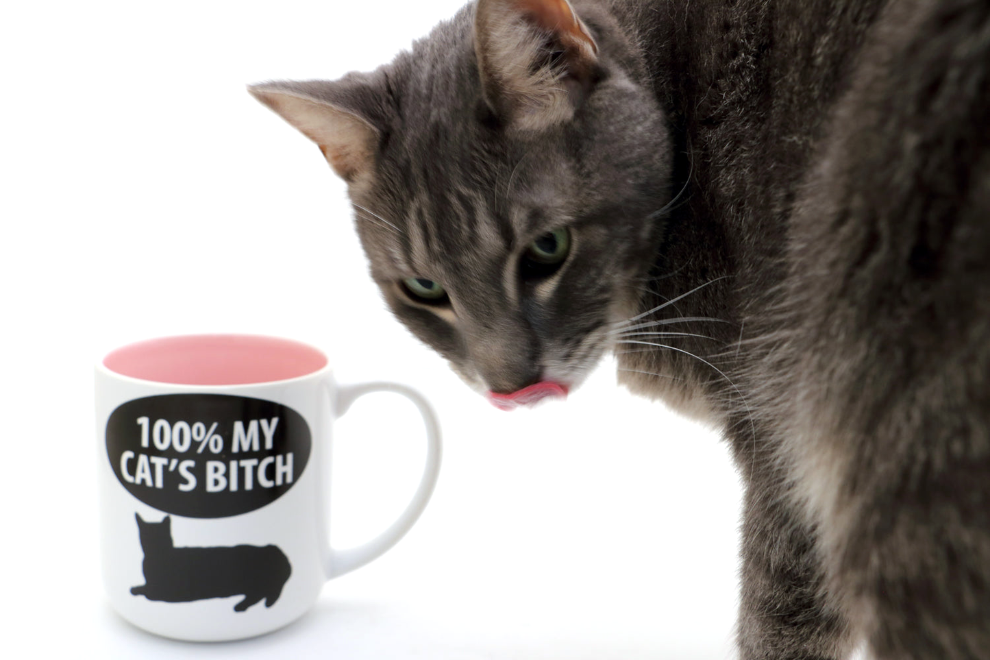 Mug - 100% My Cat's Bitch