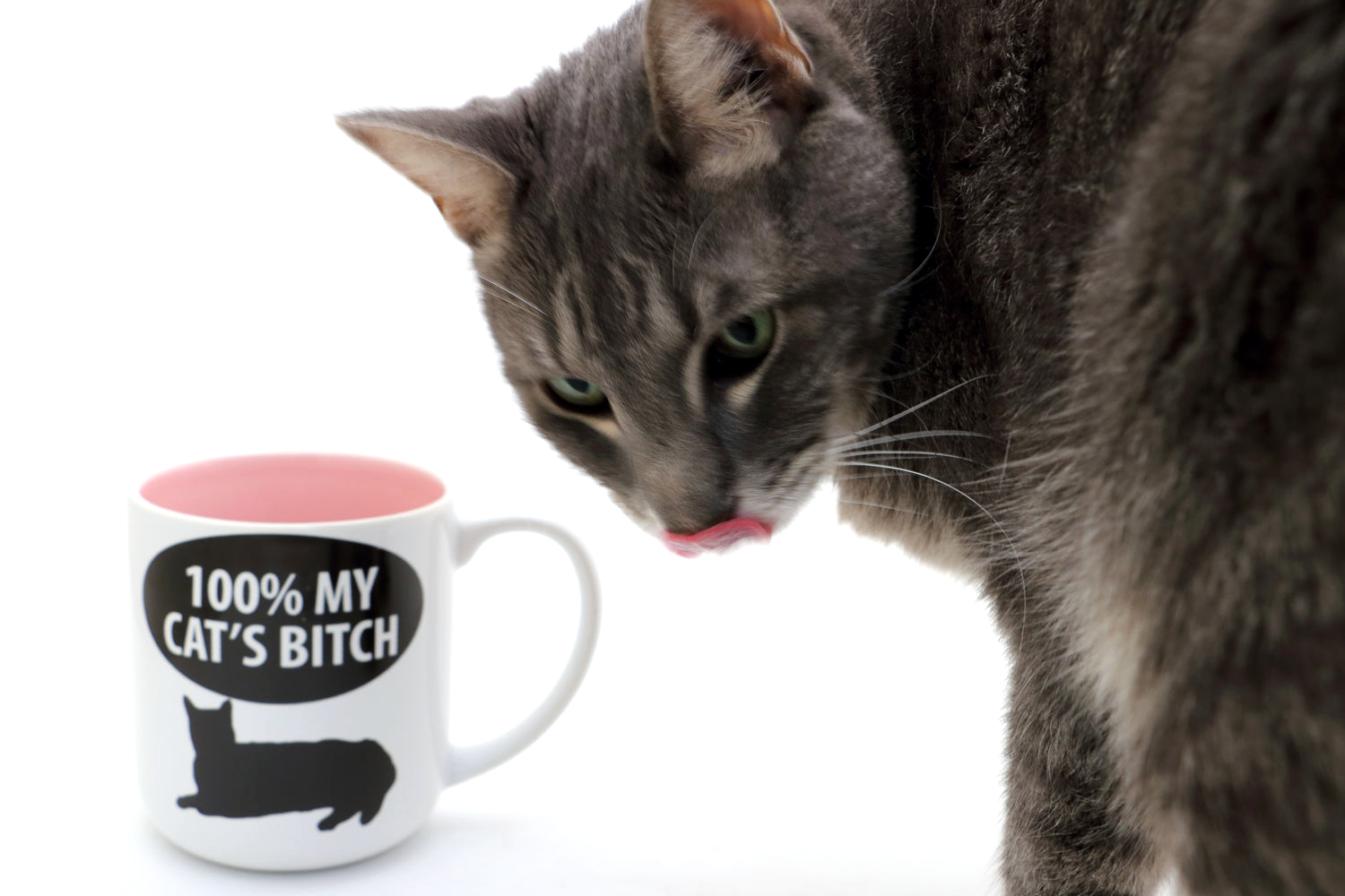 Mug - 100% My Cat's Bitch