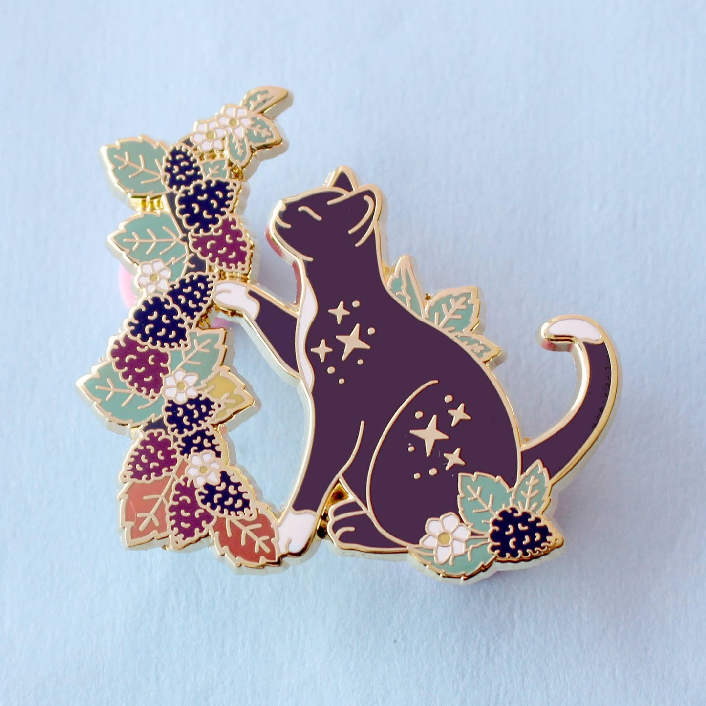 Fall Blackberry cat