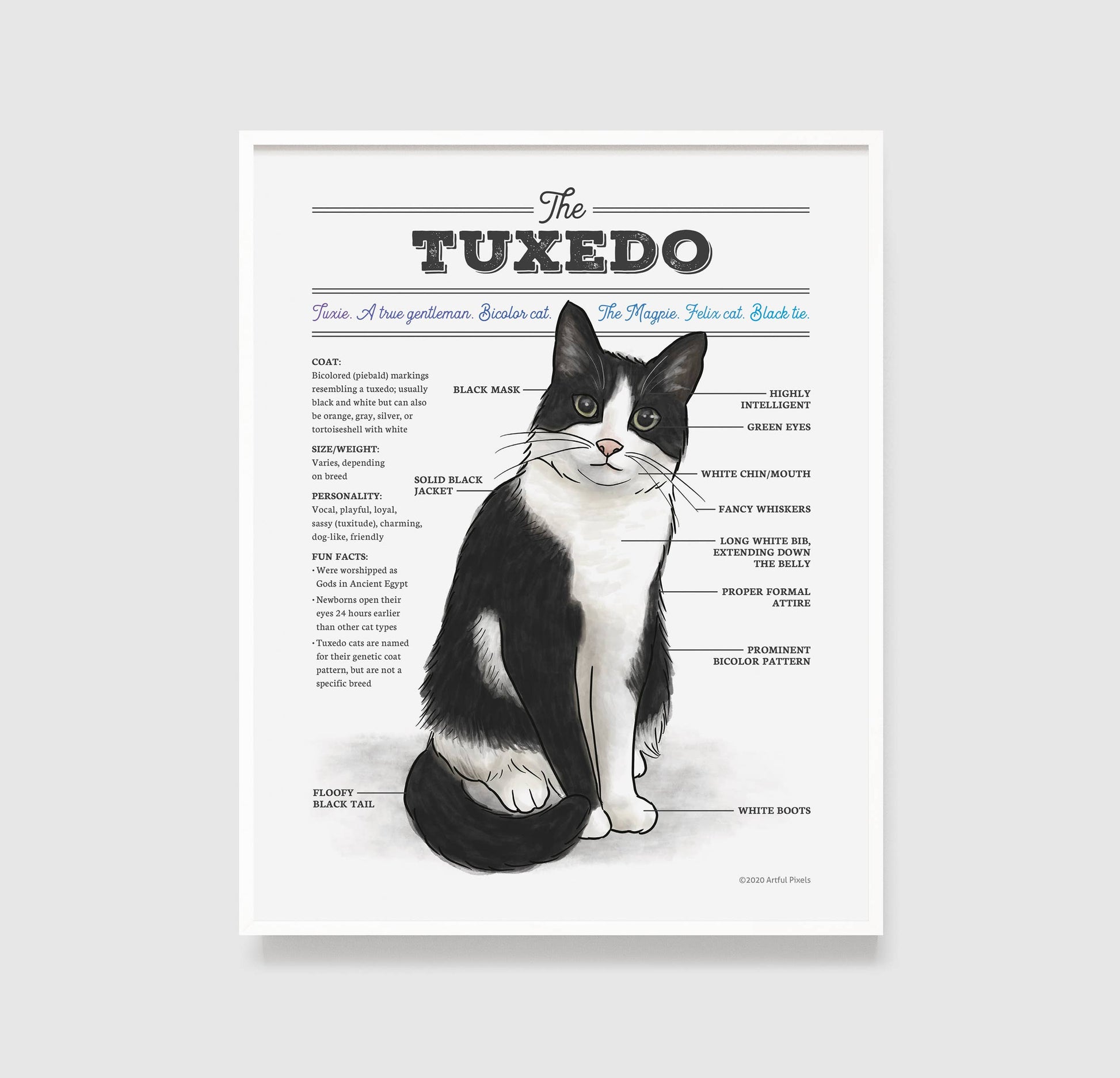 Tuxedo Cat Diagram Art Print: 8x10"
