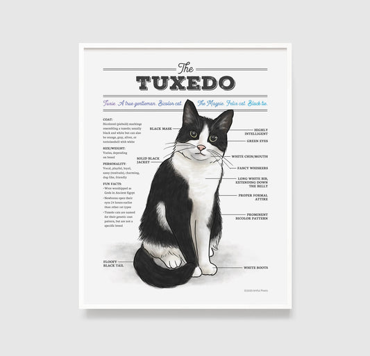 Tuxedo Cat Diagram Art Print: 8x10"