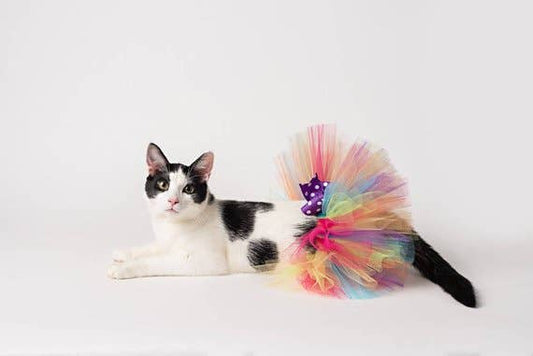 Pet Tutu