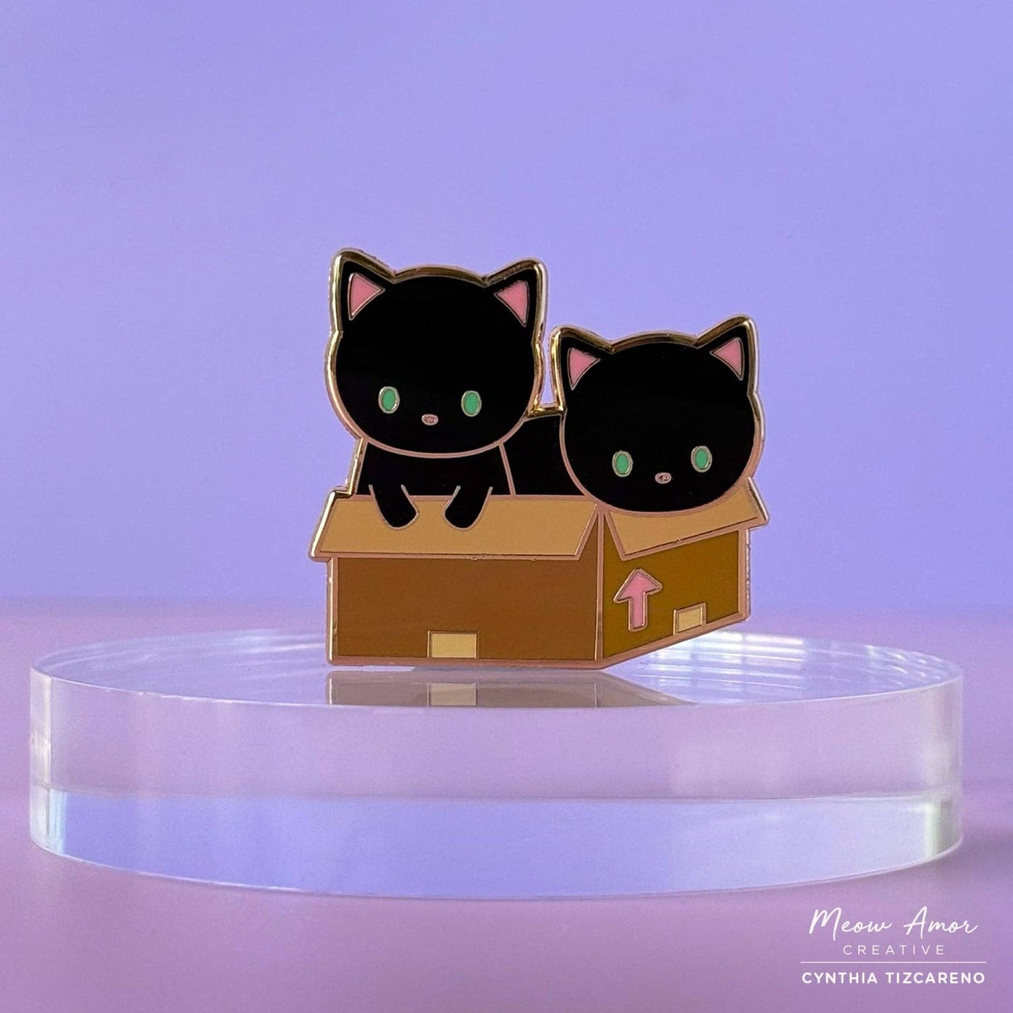 Black Cats in Box Enamel Pin