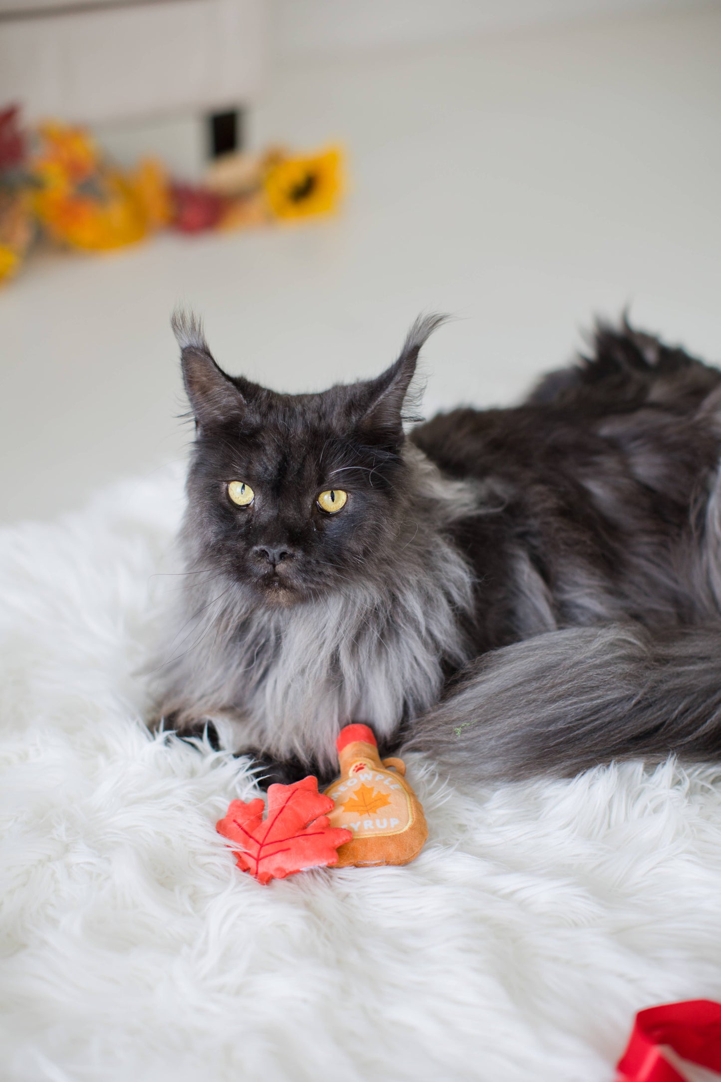 Maple Leaf & Syrup Fall Cat Toys, Set of 2