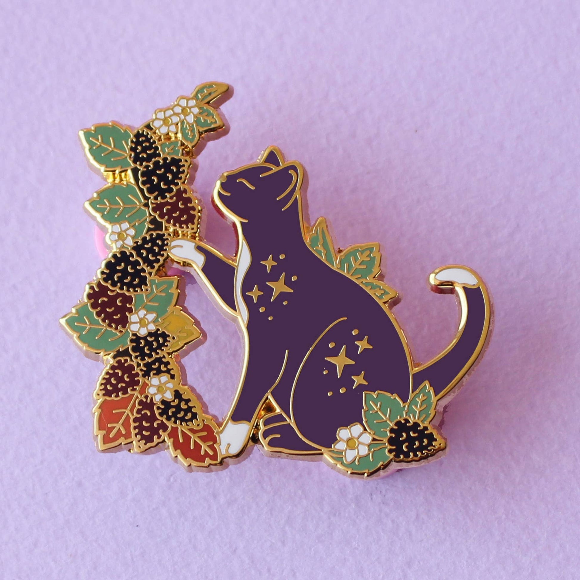 Fall Blackberry cat