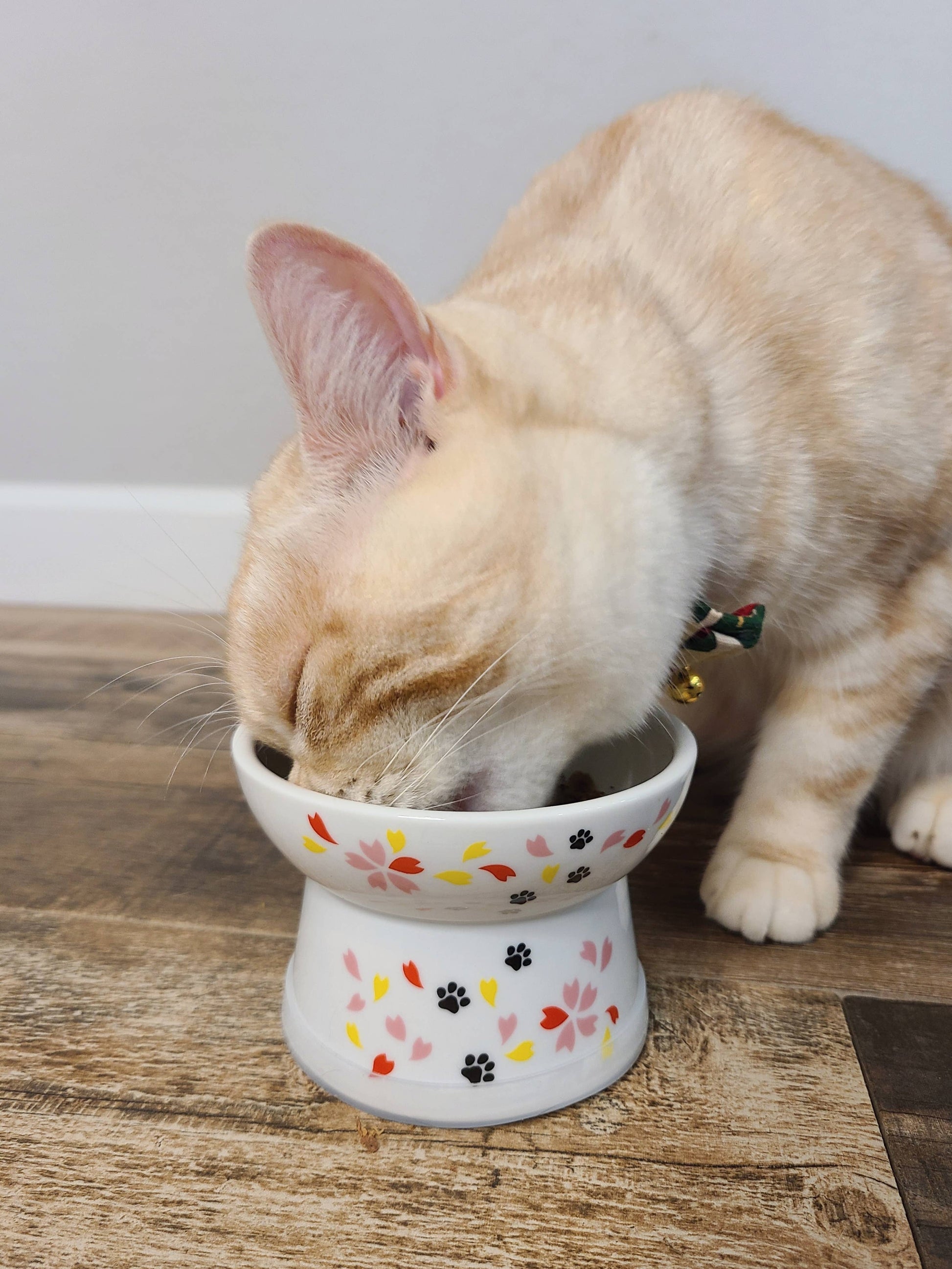 Raised Cat Food Bowl (Sakura Limited Edition)