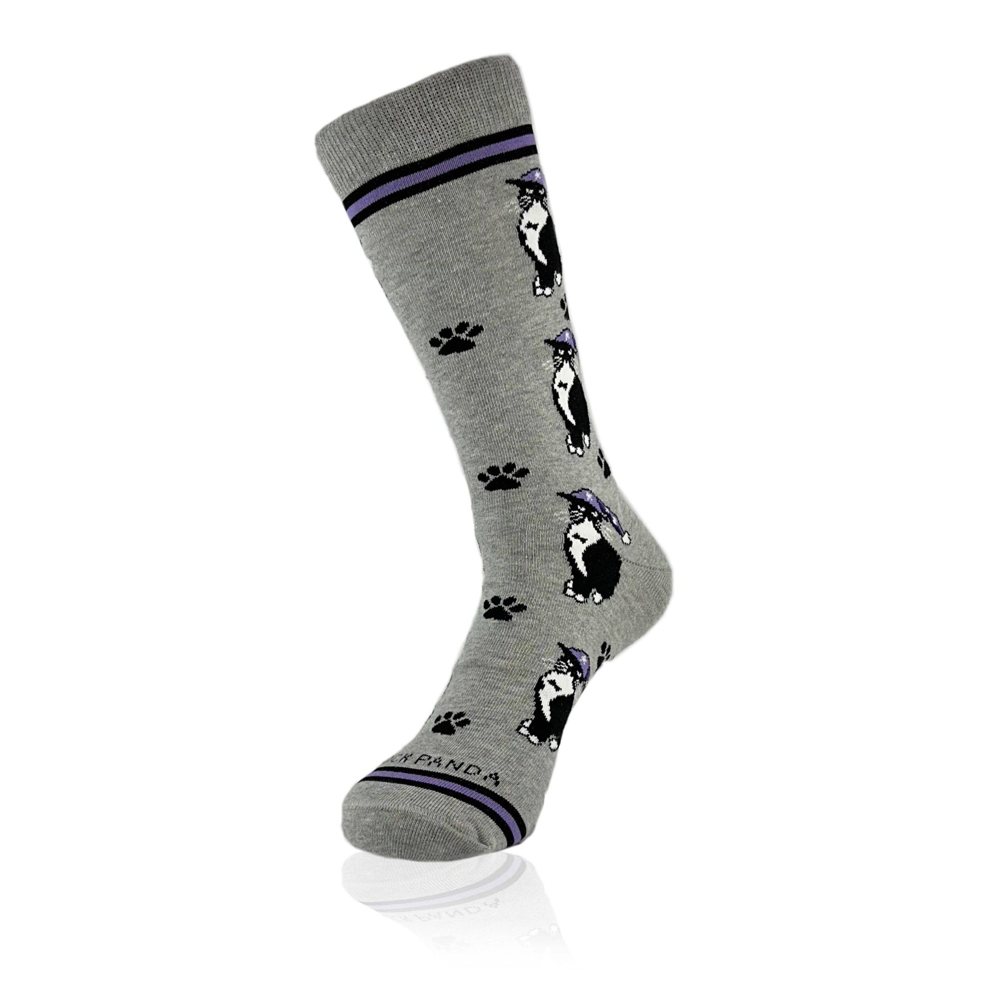 Cat Wearing a Hat Socks
