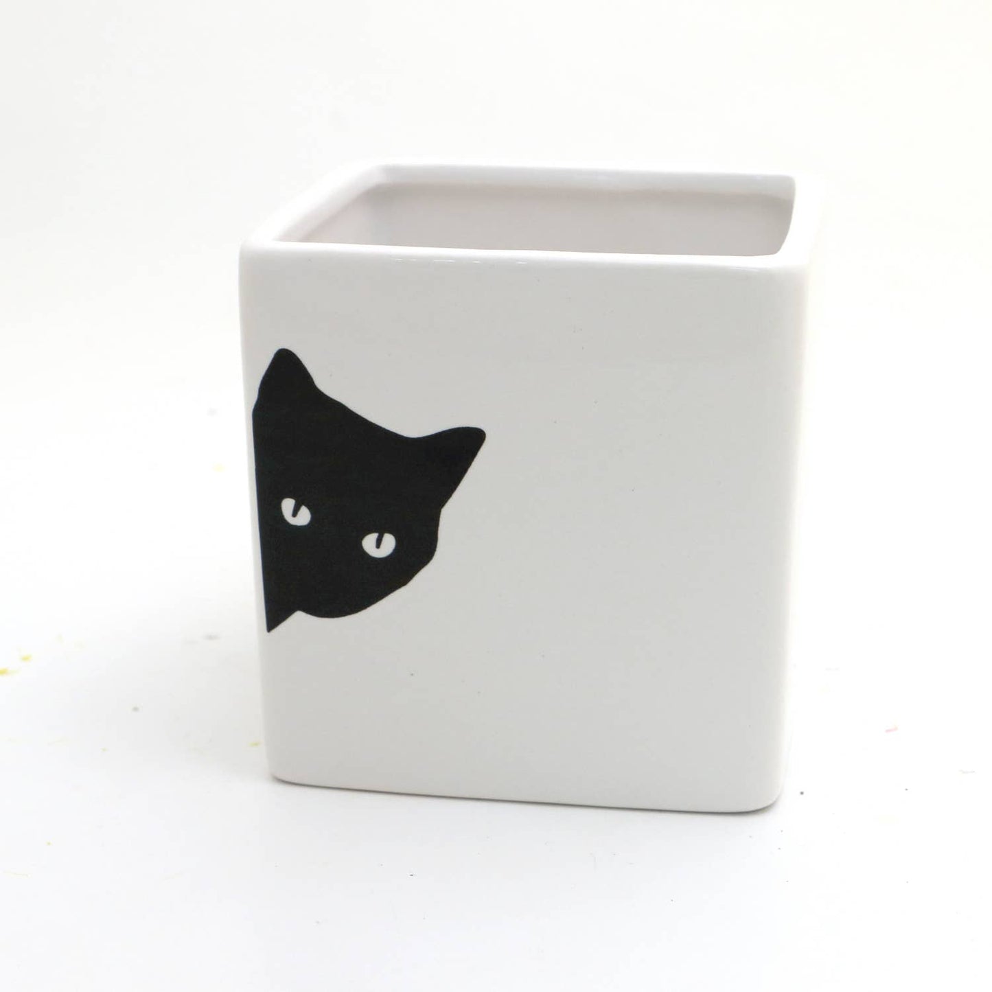 Black Cat Planter