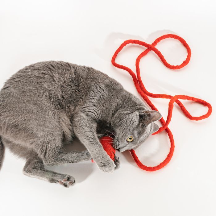 Wool Mouse Cat Toy With 6-Foot-Long Tail